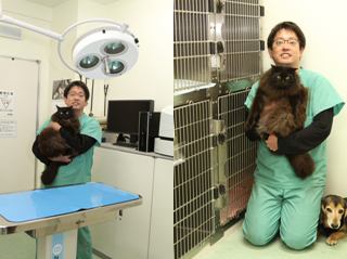 診察室と入院室